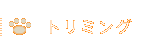 ホーム