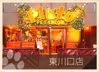 ペットサロンプルート東川口店
