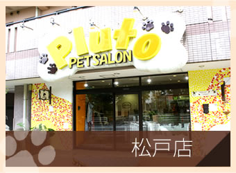 ペットサロンプルート松戸店