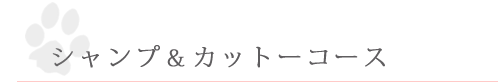 シャンプー＆カットコース
